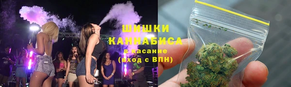 индика Кукмор