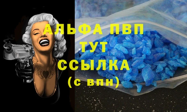 индика Кукмор