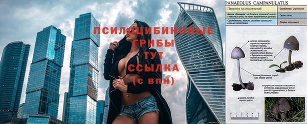 индика Кукмор
