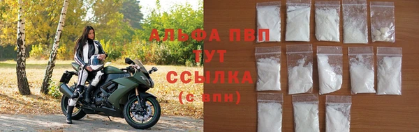 индика Кукмор