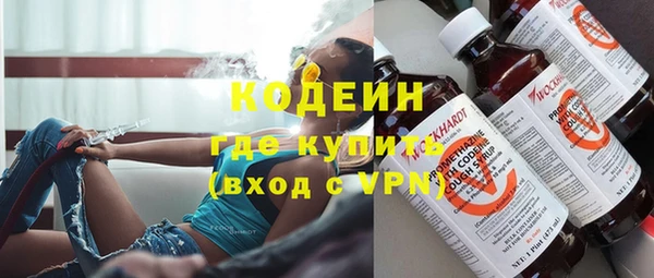индика Кукмор