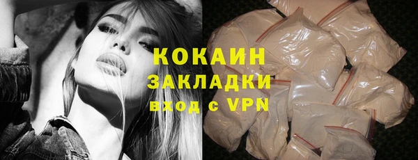 индика Кукмор