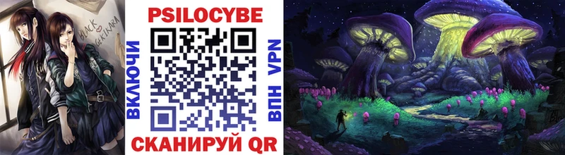 где найти наркотики  Шарья  Галлюциногенные грибы Psilocybe 