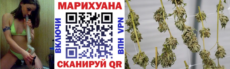 Марихуана OG Kush Шарья